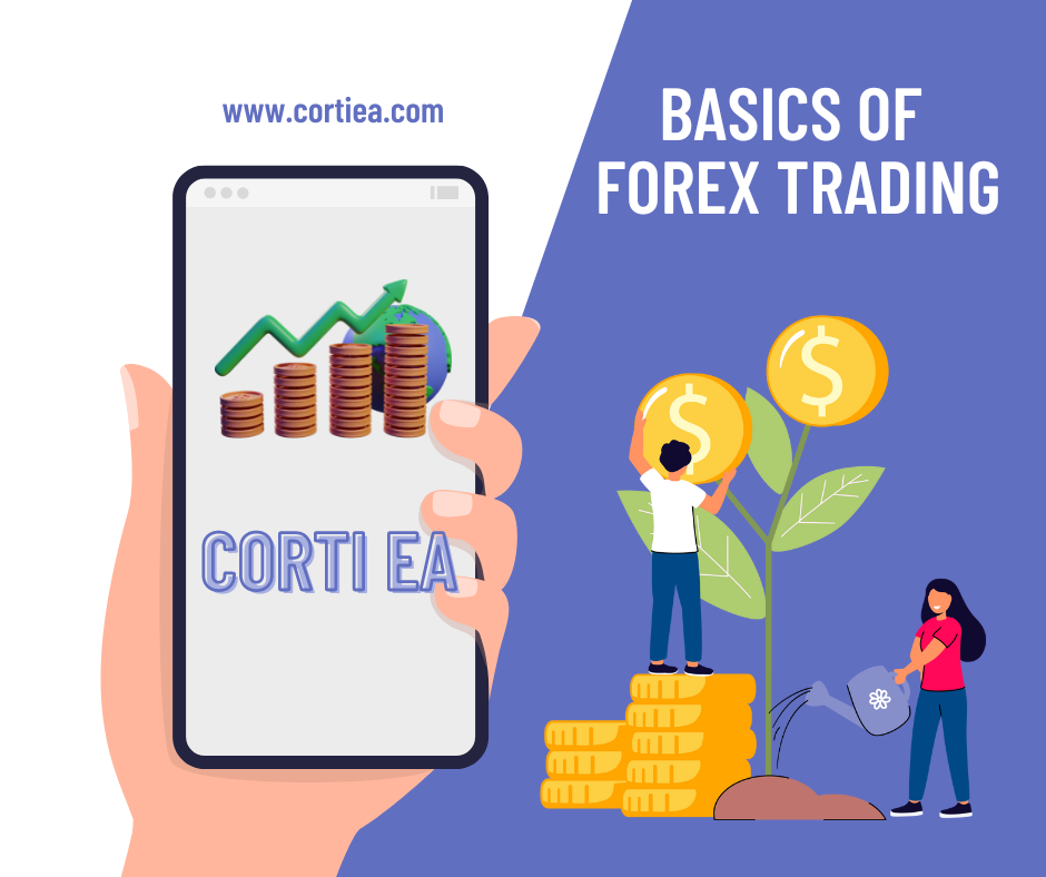 The Basics Of Forex Trading | Understanding The Basics Of Forex Trading